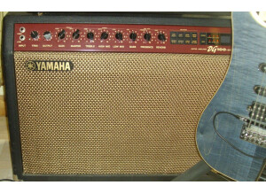 Yamaha DG100-212A