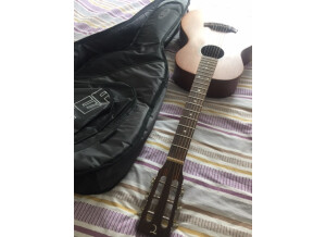 Tanglewood TW133 (93494)