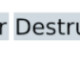 Destructor Destructor