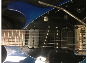 Music Man Steve Morse (96540)