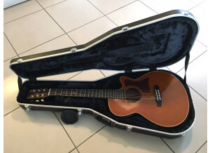 Tanglewood TW45 H E (43333)