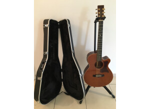 Tanglewood TW45 H E (34034)