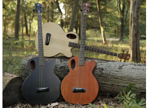 TIMBRE 800x600 Gallery 7