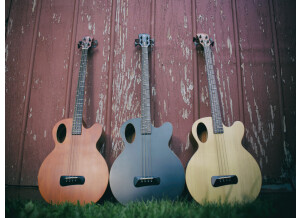 TIMBRE 800x600 Gallery 4