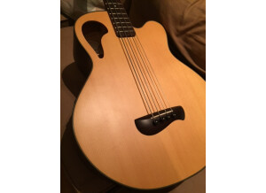 Olympia Guitars OB3CE Acoustic Bass (23906)