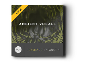 Ambient box1