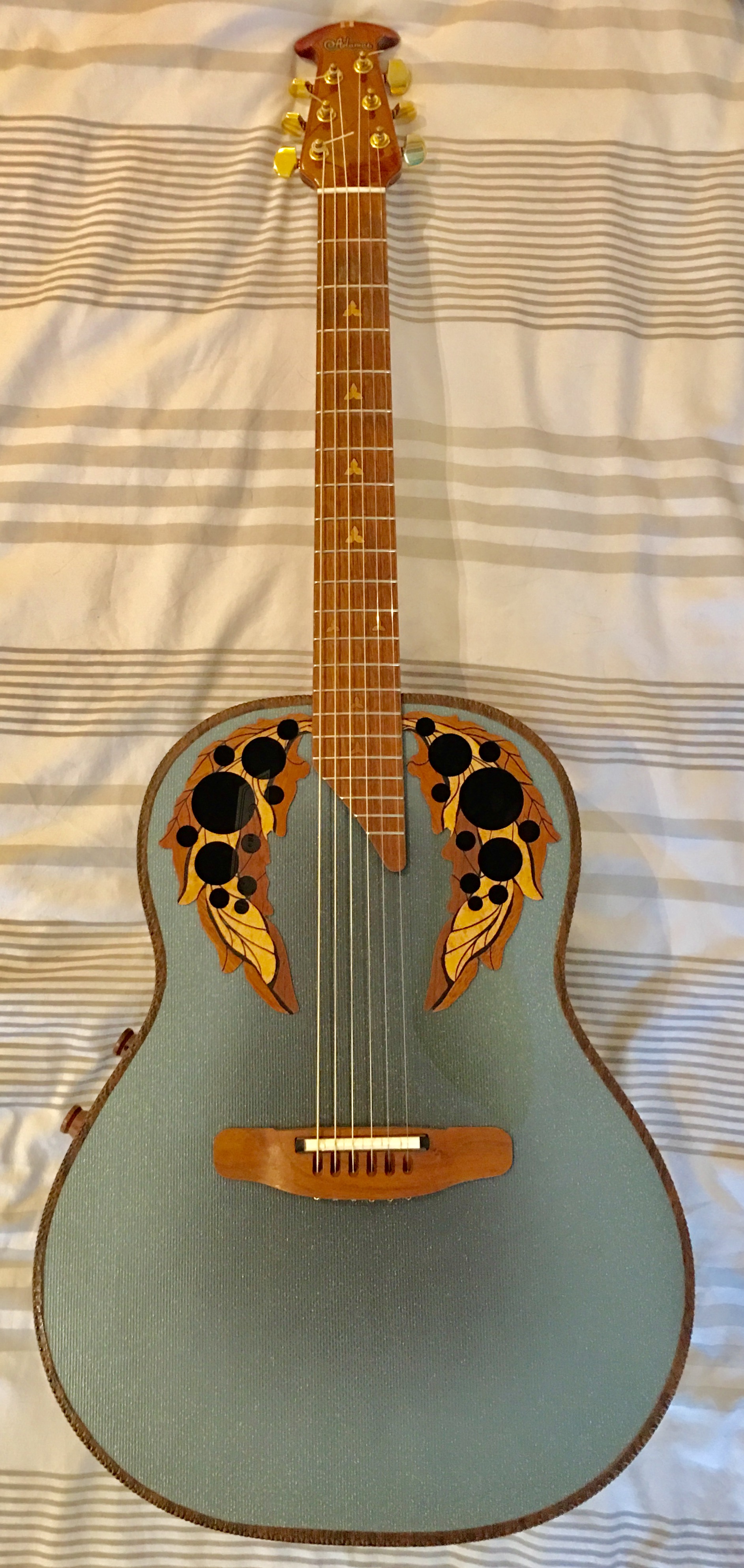 Adamas Guitars Adamas II