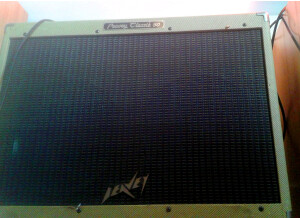 Peavey Classic 50/212 (Discontinued) (16728)