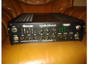 Mesa Boogie M-Pulse WalkAbout (51156)