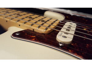 Fender Deluxe Roadhouse Stratocaster [2007-2013] (55670)