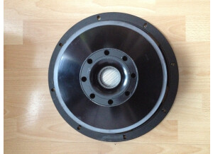 B&C Speakers 12TBX100 (13374)