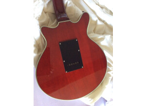 Burns Guitars Brian May (39496)