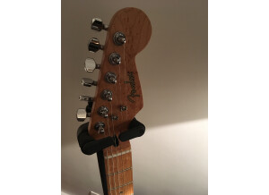 Fender Special Edition Lite Ash Stratocaster (4154)