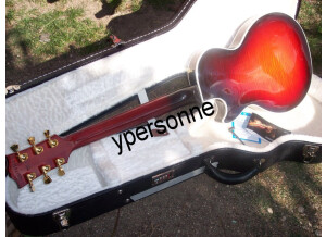 Gibson Les Paul Supreme Edition limitée