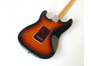 Fender Hot Rodded American Big Apple Stratocaster (42247)