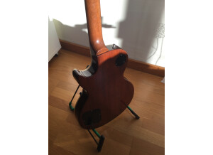 Gibson Les Paul Standard (55984)