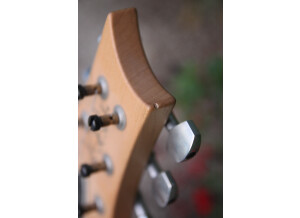 PRS Swamp Ash Special Narrowfield - Vintage Natural (98994)