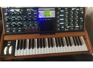 Moog Music Minimoog Voyager (38981)