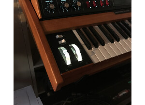 Moog Music Minimoog Voyager (35511)