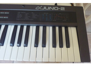 Roland JUNO-2 (98981)