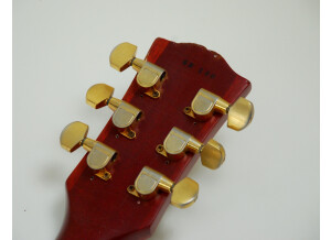 Gibson Les Paul Gary Rossington Tom Murphy Aged (65888)