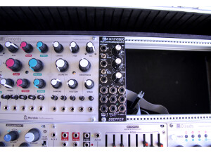 Doepfer A-147-2 VCDLFO (7006)