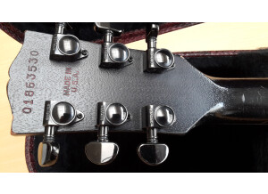Gibson SG Voodoo (34393)