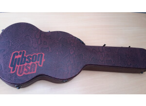 Gibson SG Voodoo (26429)