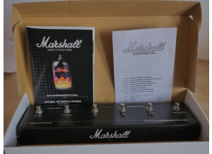Marshall AVT150X