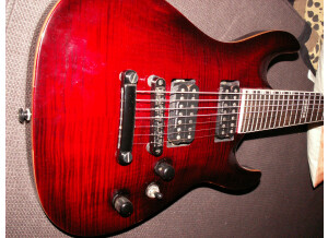 ESP LTD H Series - H-307