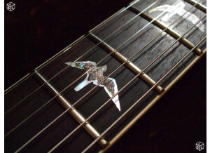 PRS SC 58 - Black Gold (49736)