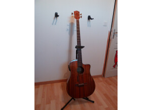 Fender Victor Bailey Acoustic Bass (58579)