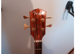 Fender Victor Bailey Acoustic Bass (62097)