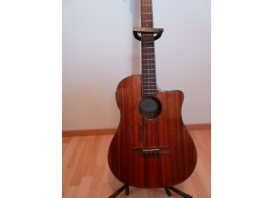 Fender Victor Bailey Acoustic Bass (14346)