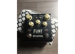 Strymon Flint (10101)