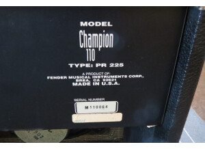 Fender Champion 110 (12273)