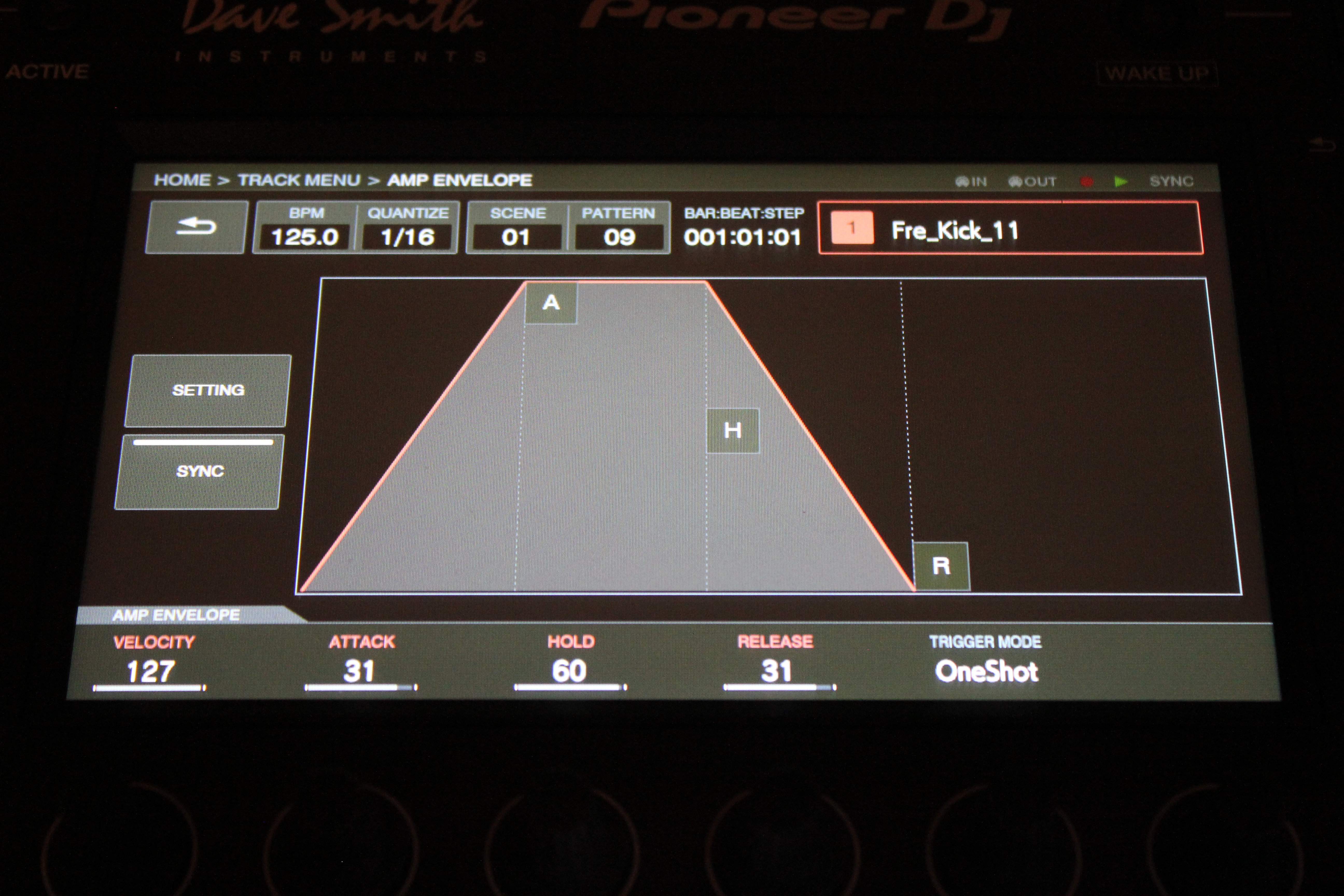Pioneer Toraiz SP-16 : SP 16 013.JPG