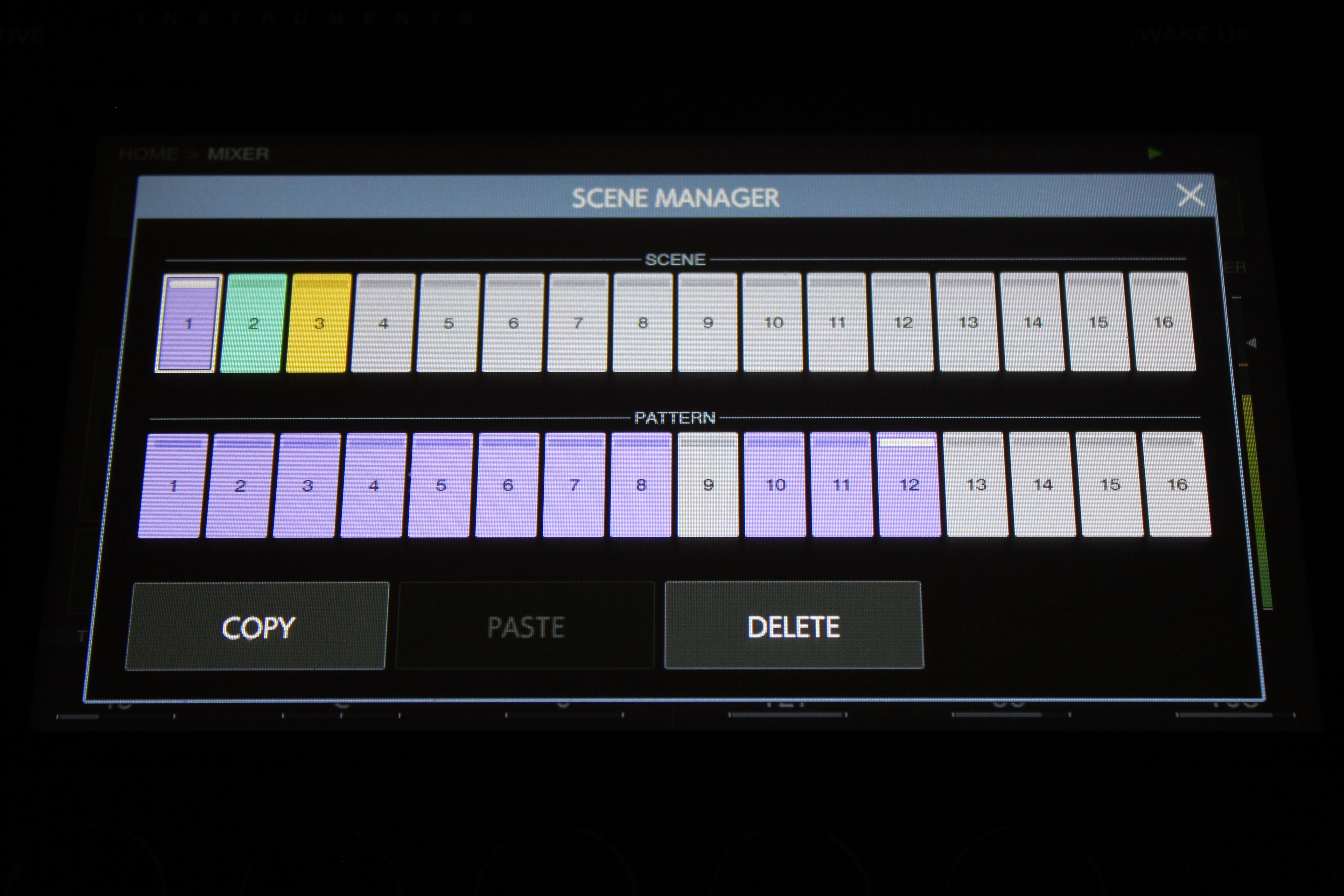 Pioneer Toraiz SP-16 : SP 16 017.JPG