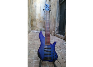 Noguera Expression (89310)