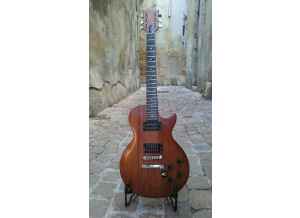 Gibson The Paul (63292)