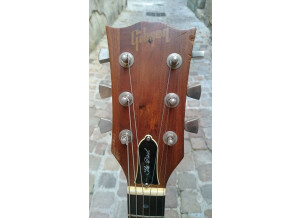 Gibson The Paul (98718)