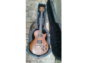 Gibson The Paul (31924)