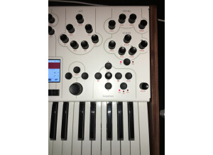 Modal Electronics 001 (71260)