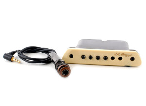 L.R. Baggs M1 Active (3582)