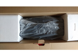 ARP Odyssey Rev2 (44244)