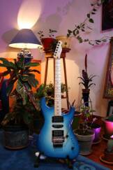 Lâg Rockline Custom