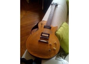 Gibson Les Paul BFG (49872)