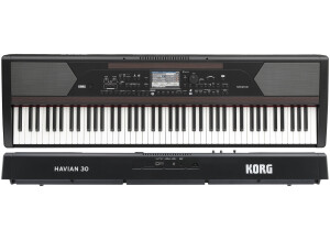 KORG Havian 30 1