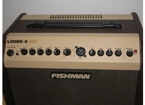 Fishman Loudbox Mini (58026)