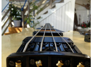 Gibson Bass IV (38270)